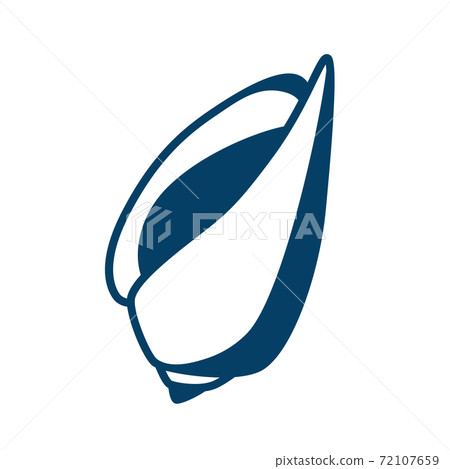 Illustration of seashell. 72107659
