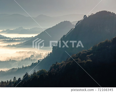 Foggy mountain forest in valley. Fantastic mist 72108345