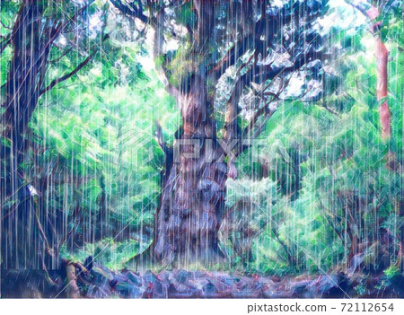 Jomon cedar rain 72112654
