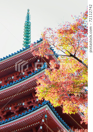 高知縣 竹林寺紅葉 照片素材 圖片 圖庫
