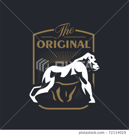 Gorilla walks on its hind legs Gorilla walks on its hind legs 72114029