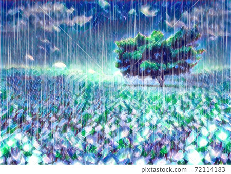 日立海濱公園的雨 日立海濱公園的雨 72114183