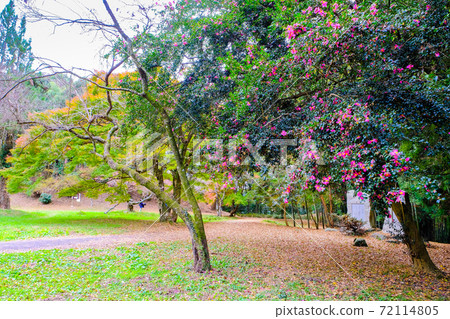 s間城跡公園 s間城跡公園 72114805