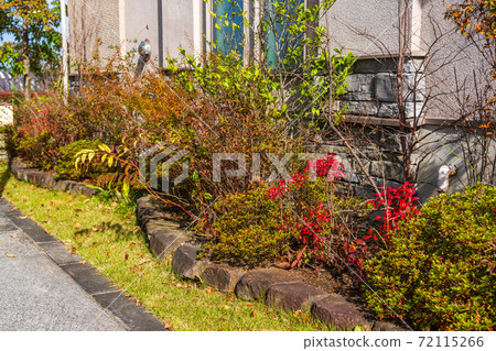A stylish flower bed built on a narrow site 72115266