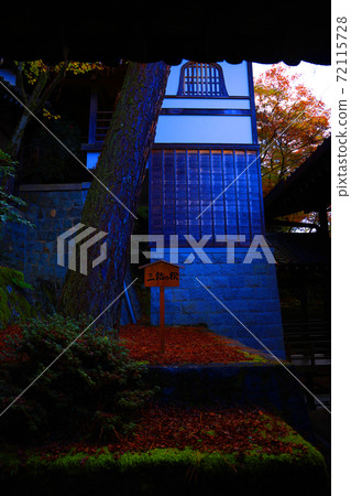 禪林寺神社區域的風景，秋天，秋葉，神殿[11月] 72115728
