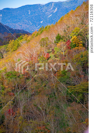 日光半月口2號停車場的景色秋葉風景秋風景 日光半月口2號停車場的景色秋葉風景秋風景 72116308
