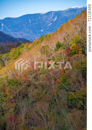 日光半月口2號停車場的景色秋葉風景秋風景 72116309