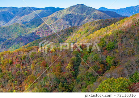 日光半月口2號停車場的景色秋葉風景秋風景 日光半月口2號停車場的景色秋葉風景秋風景 72116310