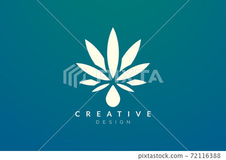 Blend of plants or leaves with water droplets. Minimalist and modern cannabis leaf design Blend of plants or leaves with water droplets. Minimalist and modern cannabis leaf design 72116388