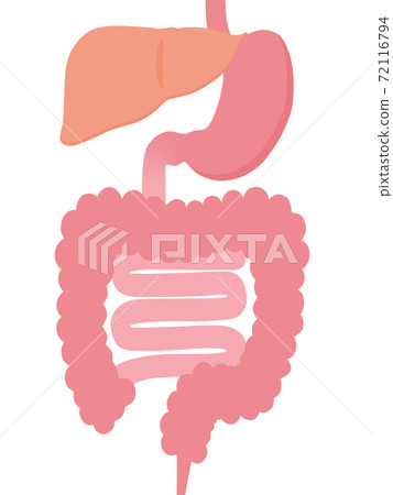 內臟 內臟 72116794