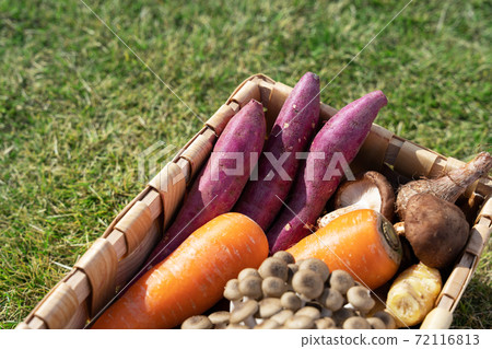 Assortment of vegetables 72116813