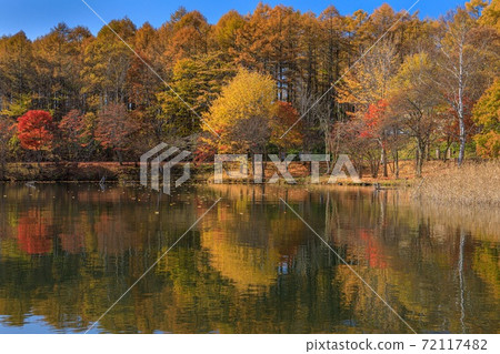 長野縣蓼科町女神湖的秋景 長野縣蓼科町女神湖的秋景 72117482