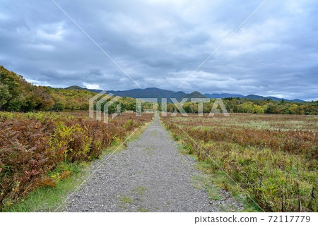 Scenery of Furepe Falls promenade in late autumn @ Shiretoko, Hokkaido Scenery of Furepe Falls promenade in late autumn @ Shiretoko, Hokkaido 72117779