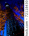 Illuminated trees and Tokyo Sky Tree 72118430