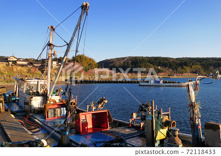 A row of cherry blossom trees along the sea seen from a small fishing port 72118433