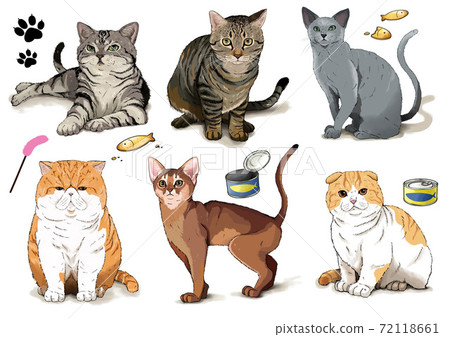 Short-haired cat set 72118661