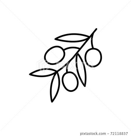 Olive fruits and leaves icon vector illustration Olive fruits and leaves icon vector illustration 72118837