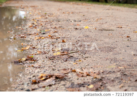 Wet gravel road. Autumn day, weather and season. Wood leaves Wet gravel road. Autumn day, weather and season. Wood leaves 72119397