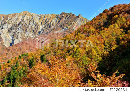 Autumn leaves of Oyama 72120384