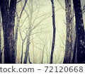 Cloudy sky is also good 72120668
