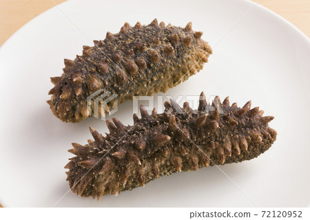 Sea cucumber plate 72120952