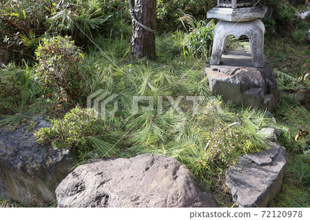 修剪農民的花園 修剪農民的花園 72120978
