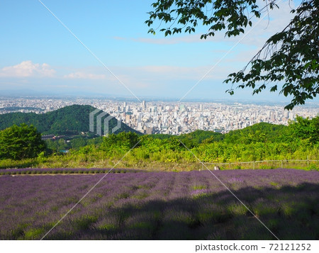 美景! Horomi Pass的薰衣草田! 美景! Horomi Pass的薰衣草田! 72121252