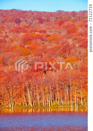 Tsutanuma Morning Towada Hachimantai National Park Towada City, Aomori Prefecture Tsutanuma Morning Towada Hachimantai National Park Towada City, Aomori Prefecture 72122719