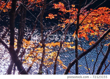 秋季津田七沼之旅遠足Su沼十和田八m平國家公園青森縣十和田市 72123155