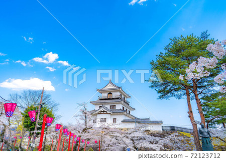 Spring Shiroishi Castle and cherry blossoms [Miyagi Prefecture] 72123712