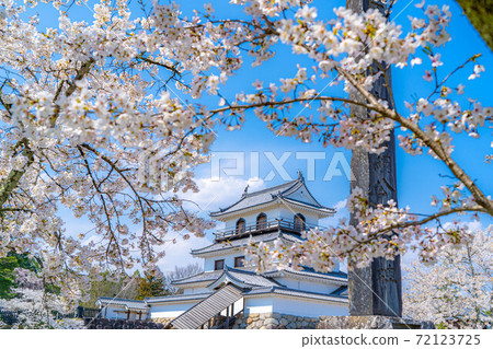 Spring Shiroishi Castle and cherry blossoms [Miyagi Prefecture] 72123725