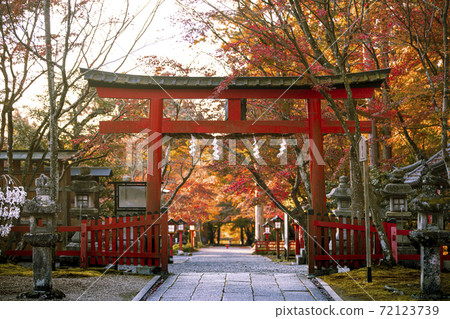 Autumn leaves of Oharano Shrine Autumn leaves of Oharano Shrine 72123739