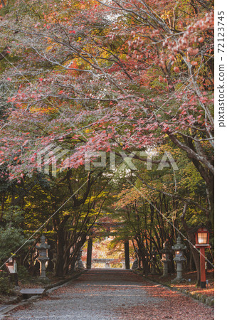 Autumn leaves of Oharano Shrine Autumn leaves of Oharano Shrine 72123745