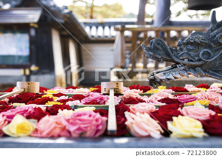 Flower water of Yangtani Temple Flower water of Yangtani Temple 72123800