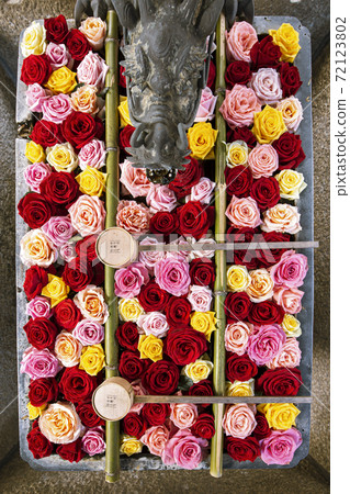 Flower water of Yangtani Temple Flower water of Yangtani Temple 72123802