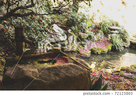 Flower water of Yangtani Temple 72123803