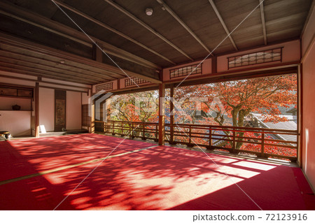 Autumn leaves of Yaya Temple Autumn leaves of Yaya Temple 72123916