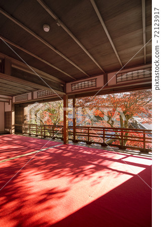 Autumn leaves of Yaya Temple Autumn leaves of Yaya Temple 72123917