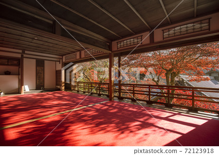 Autumn leaves of Yaya Temple Autumn leaves of Yaya Temple 72123918