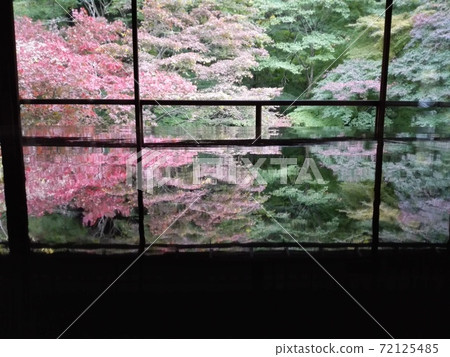 Autumn Ruriko-in Autumn Ruriko-in 72125485