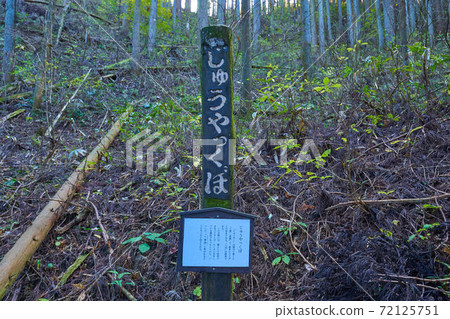 Tourist attraction signboards attached to various places on the approach to Mt. Mitake, Ome City, Tokyo Tourist attraction signboards attached to various places on the approach to Mt. Mitake, Ome City, Tokyo 72125751