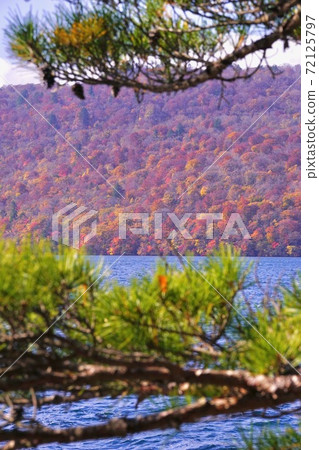 Autumn leaves of Lake Towada, Towada Hachimandaira National Park, near Nenokuchi, Towada City, Aomori Prefecture Autumn leaves of Lake Towada, Towada Hachimandaira National Park, near Nenokuchi, Towada City, Aomori Prefecture 72125797