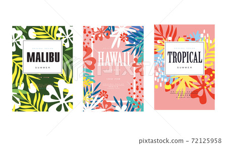 Summer Poster with Tropical and Exotic Leaf and Plants Vector Template Set 72125958