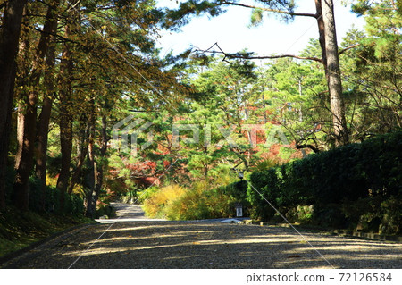 秋天的丹波龜山城堡遺址 秋天的丹波龜山城堡遺址 72126584
