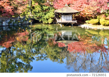和歌山城秋葉在秋葉谷花園 和歌山城秋葉在秋葉谷花園 72126931