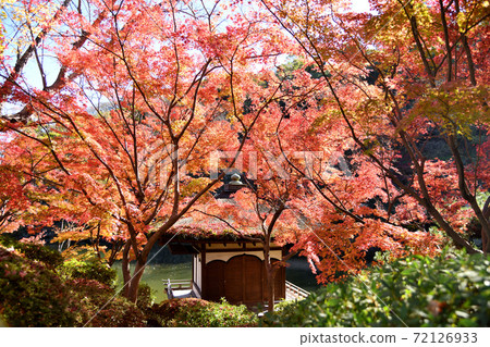 和歌山城秋葉在秋葉谷花園 和歌山城秋葉在秋葉谷花園 72126933