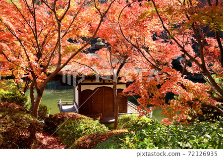 和歌山城秋葉在秋葉谷花園 和歌山城秋葉在秋葉谷花園 72126935