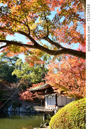 和歌山城秋葉在秋葉谷花園 和歌山城秋葉在秋葉谷花園 72126938