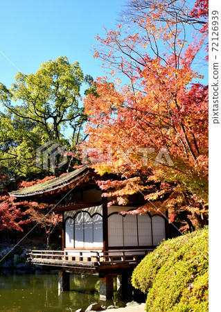 和歌山城秋葉在秋葉谷花園 和歌山城秋葉在秋葉谷花園 72126939