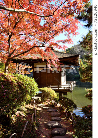 和歌山城秋葉在秋葉谷花園 和歌山城秋葉在秋葉谷花園 72126940
